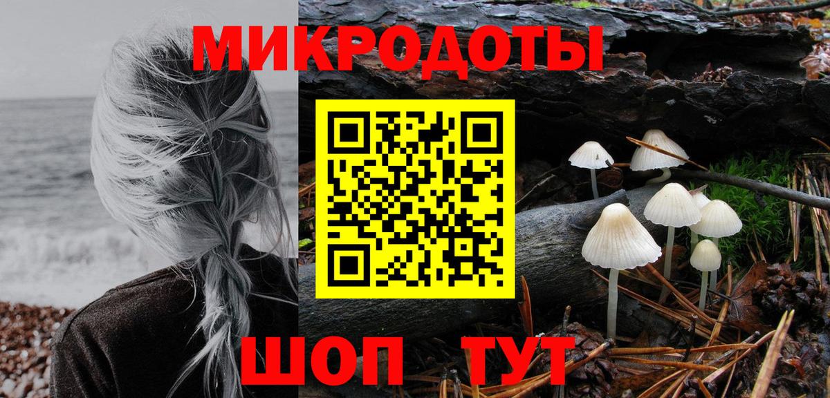 Анжеро-Судженск  Псилоцибиновые грибы MAGIC MUSHROOMS  что такое   Вход с VPN 