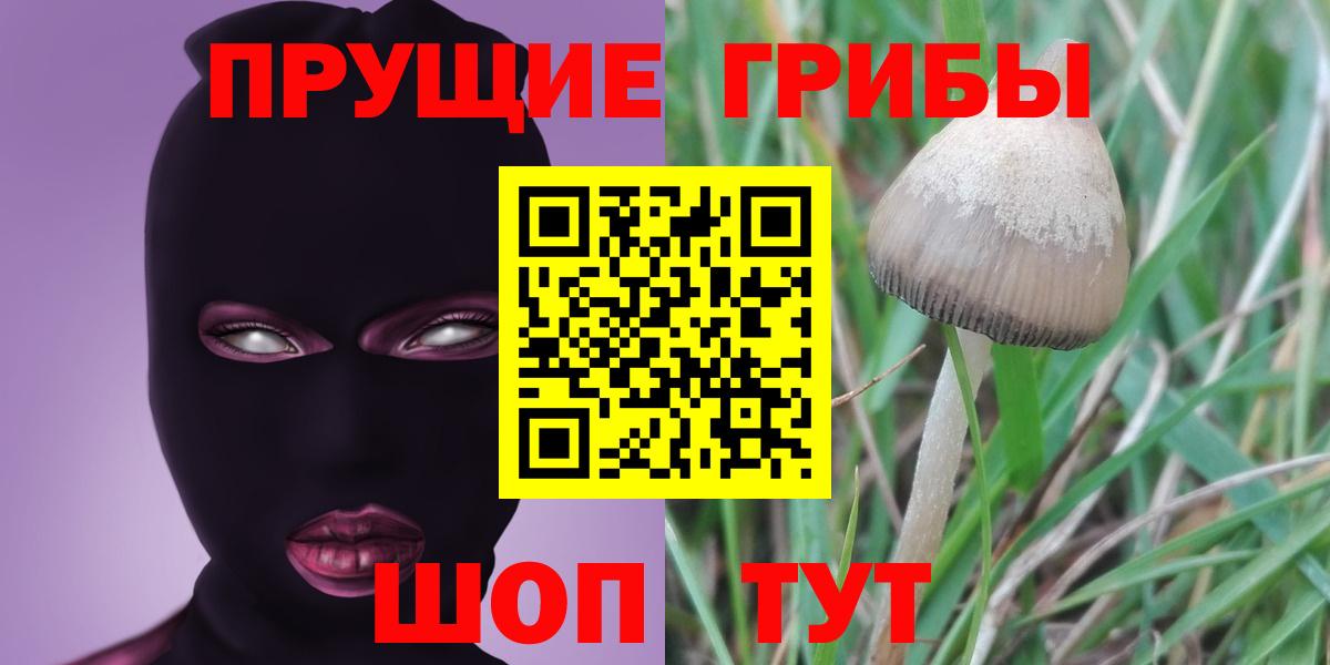 Псилоцибиновые грибы прущие грибы Анжеро-Судженск
